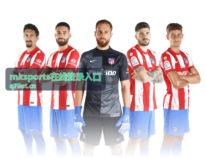 mksports在线登录入口 服务受理范围说明配图